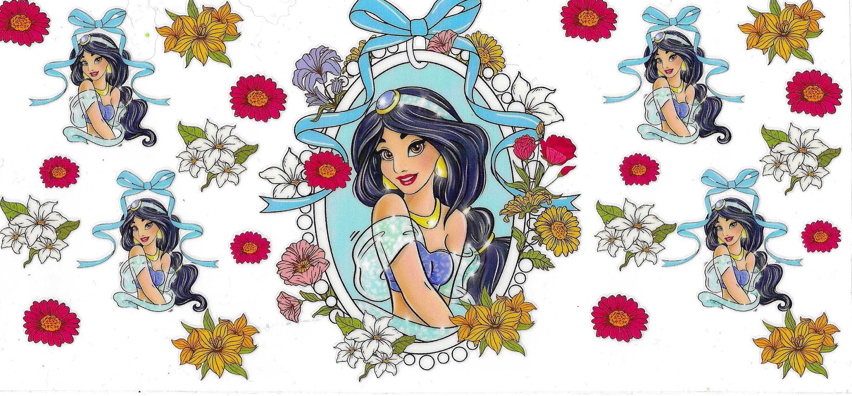 Disney Princess Wraps