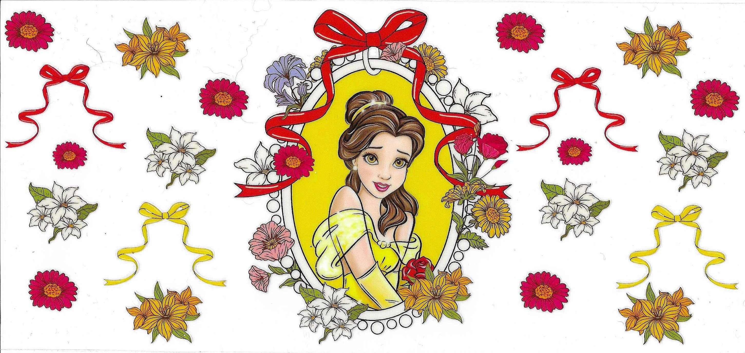 Disney Princess Wraps