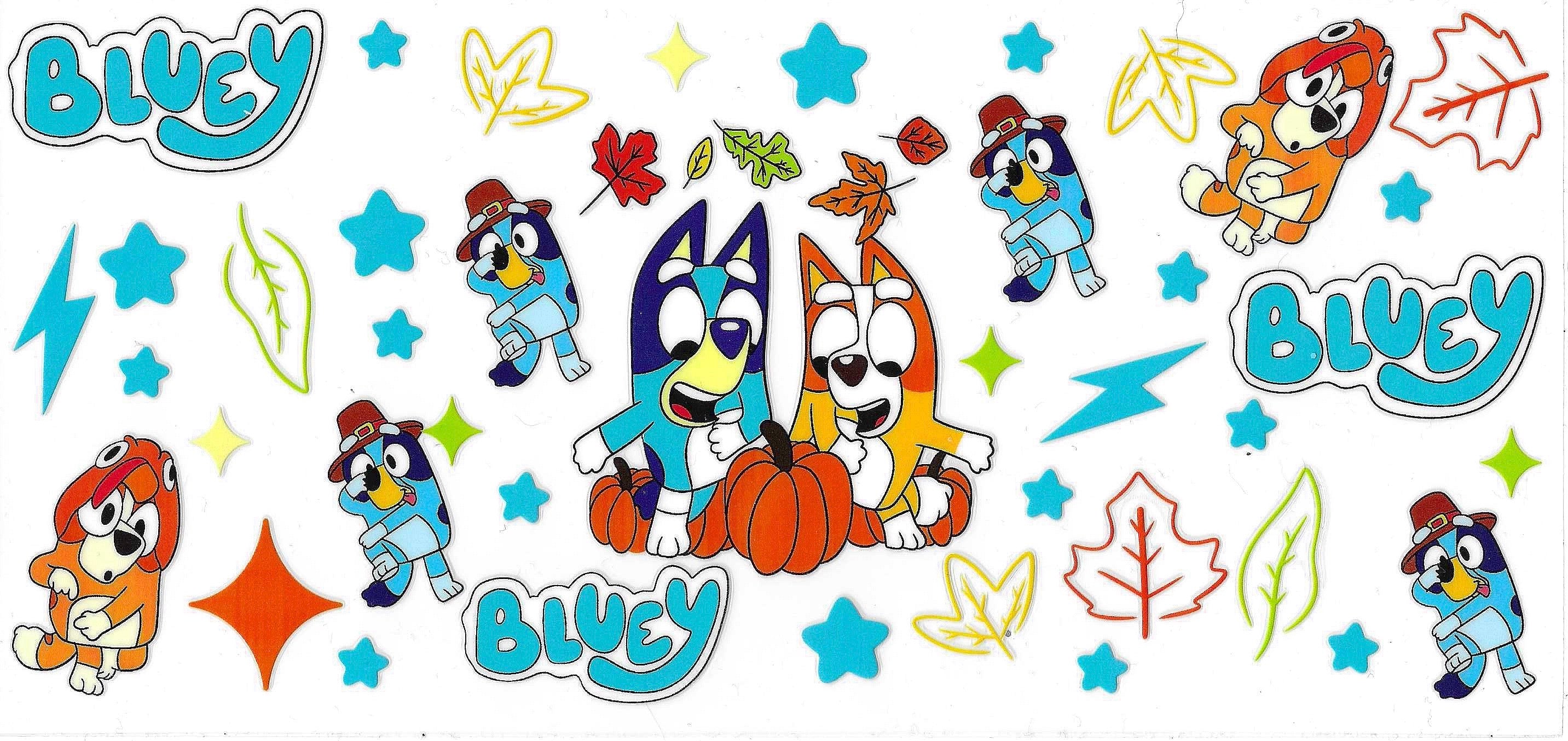 Bluey Wraps