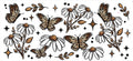 Butterfly Wraps