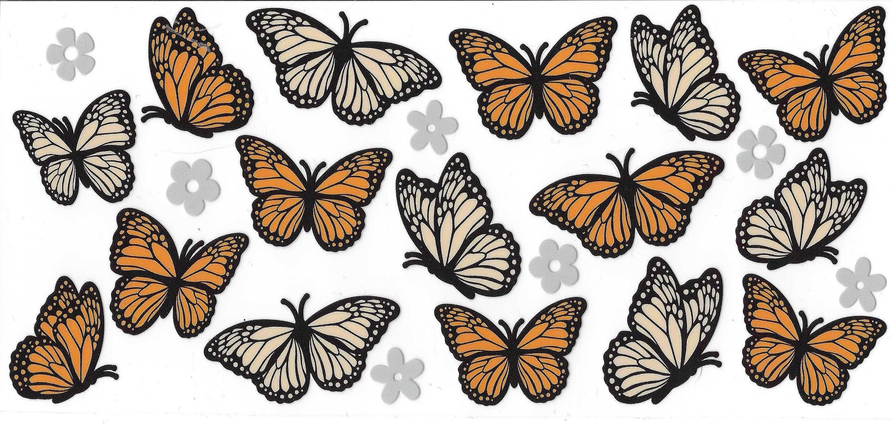 Butterfly Wraps