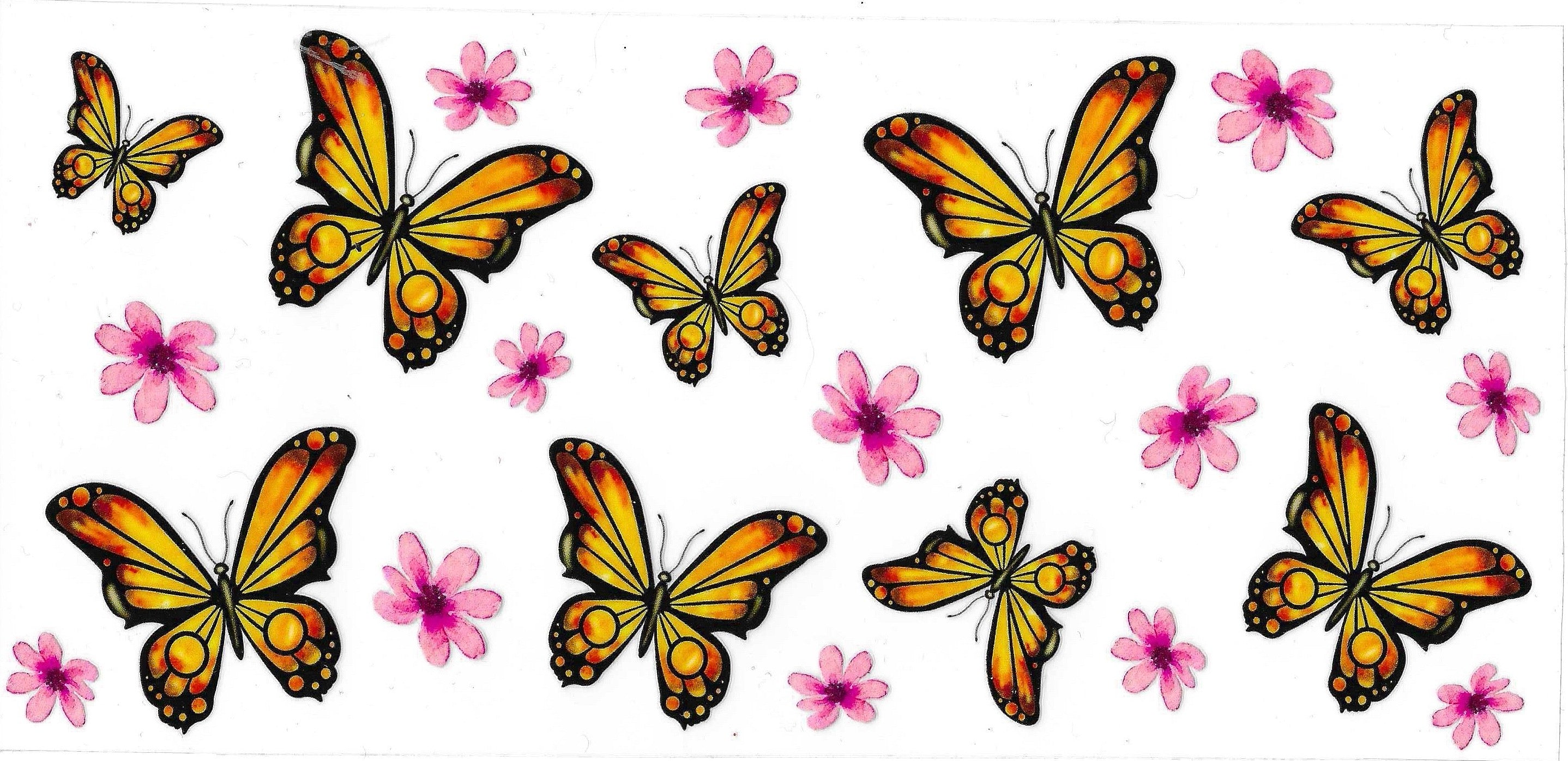 Butterfly Wraps