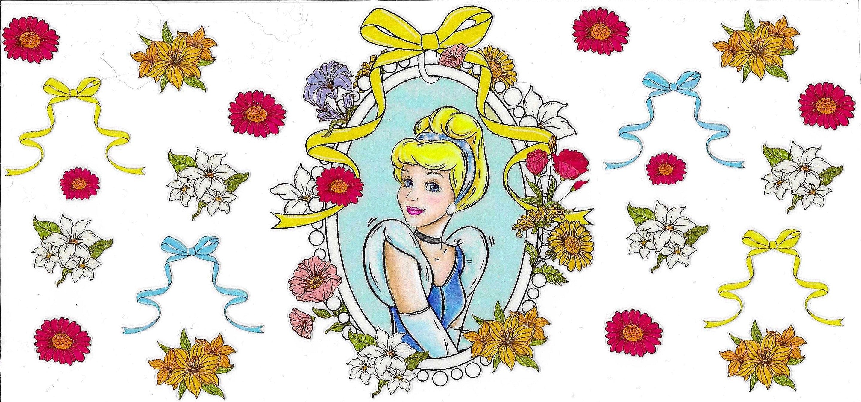Disney Princess Wraps