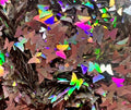 Silver Iridescent Butterflies