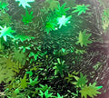 Weed Plant