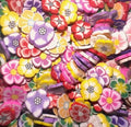 Multi-Colored Flowers