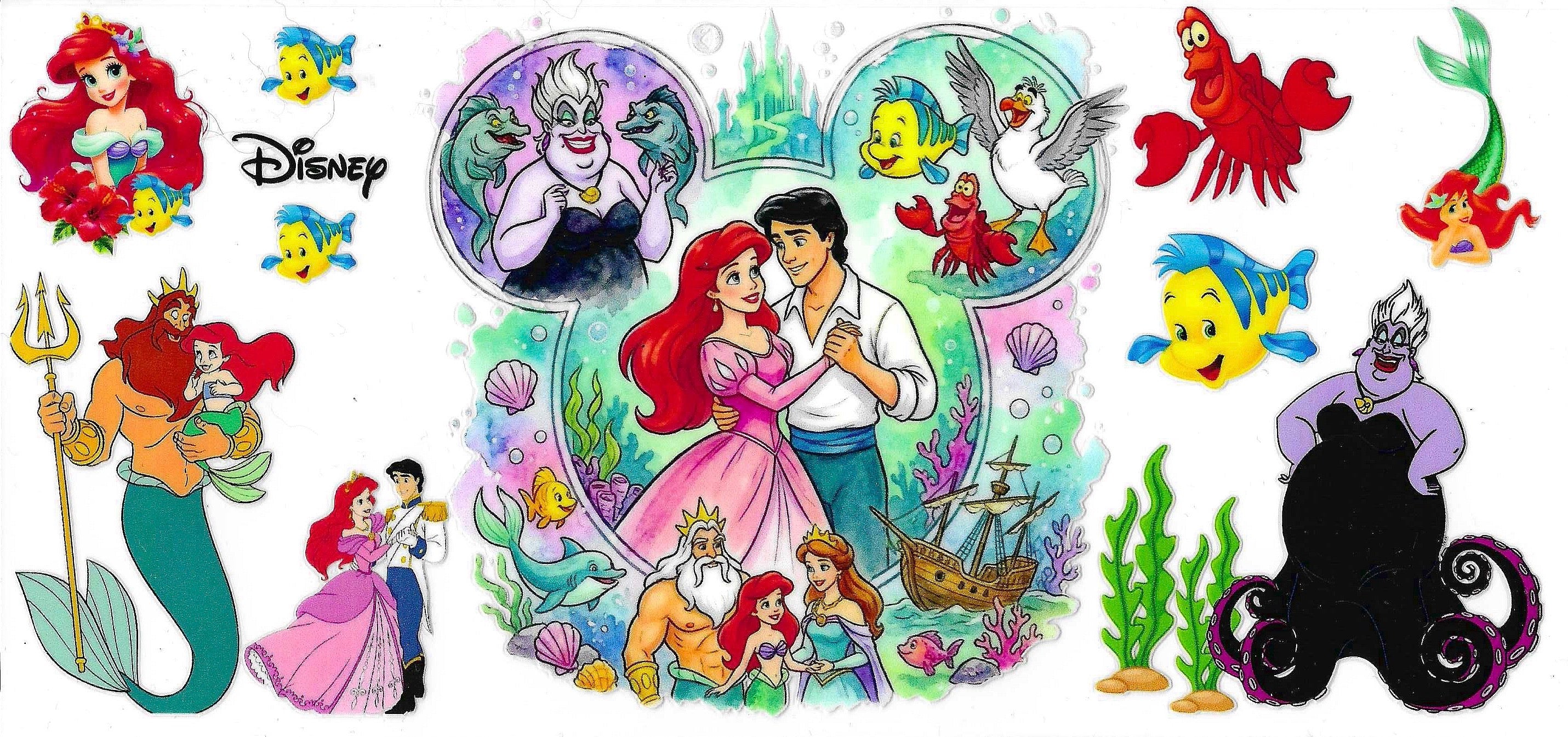 Disney Princess Wraps