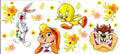 Looney Tunes Wraps