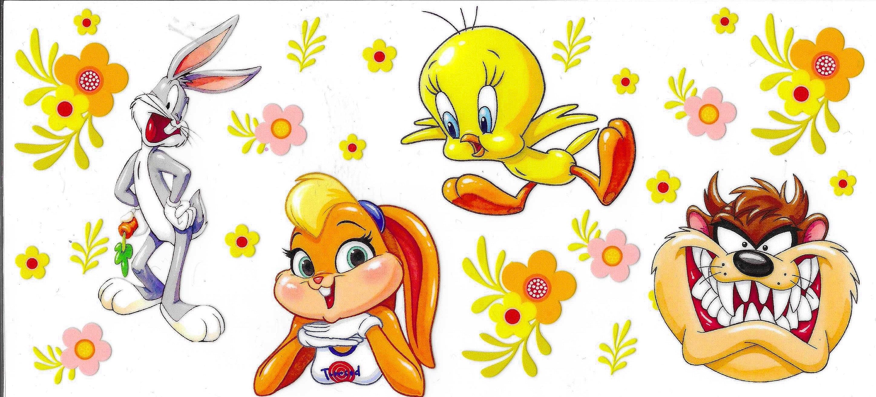 Looney Tunes Wraps