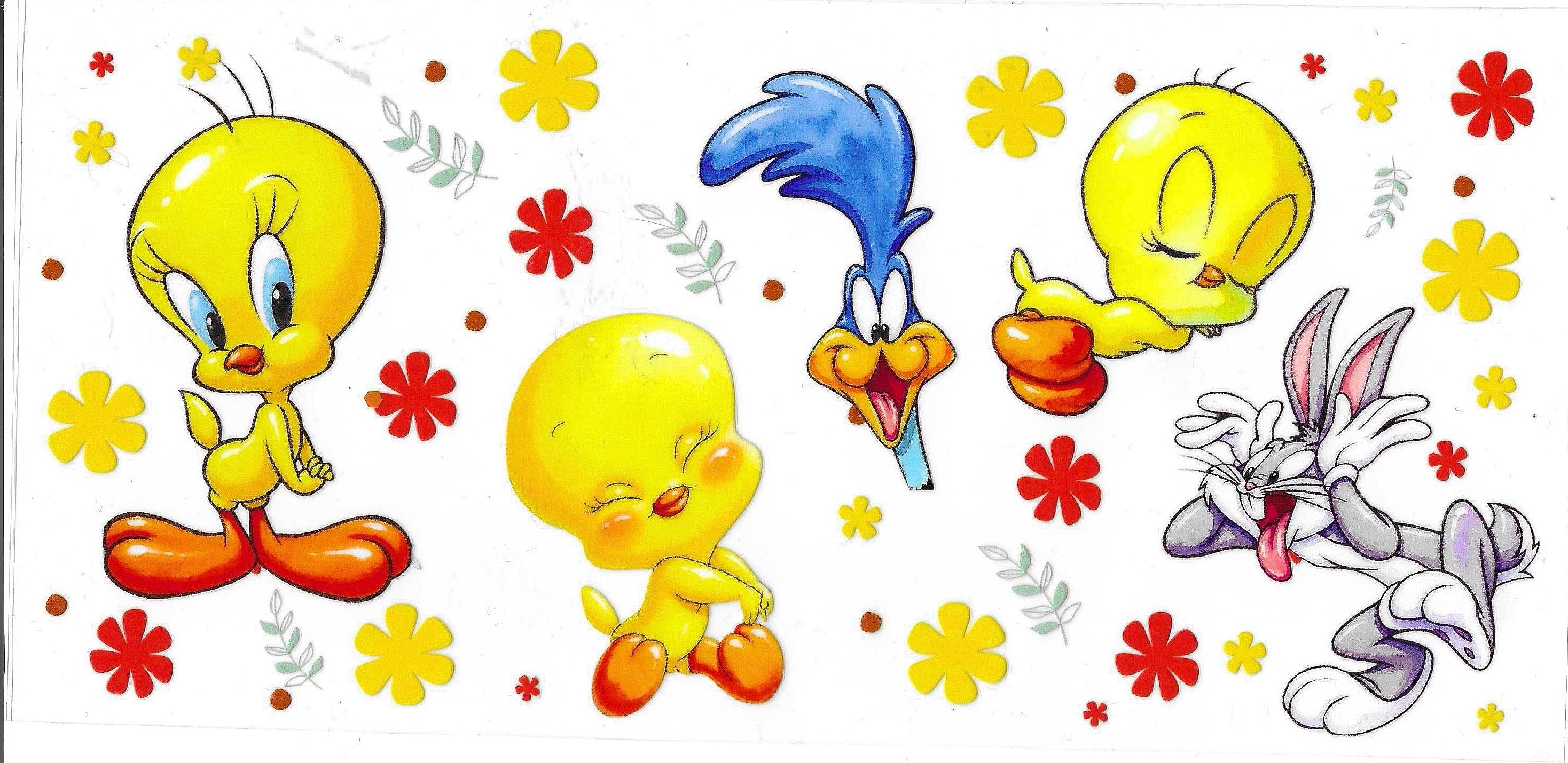 Looney Tunes Wraps