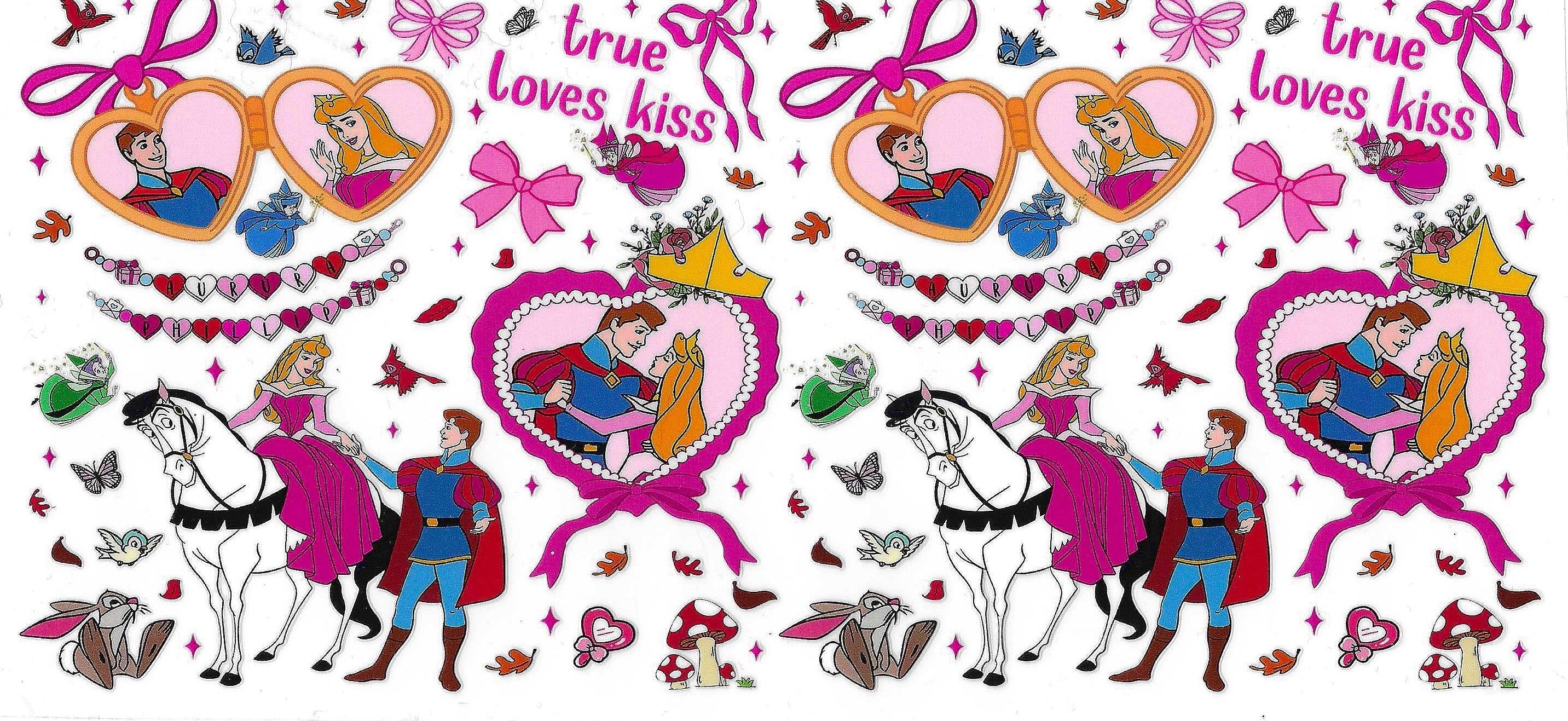 Disney Princess Wraps
