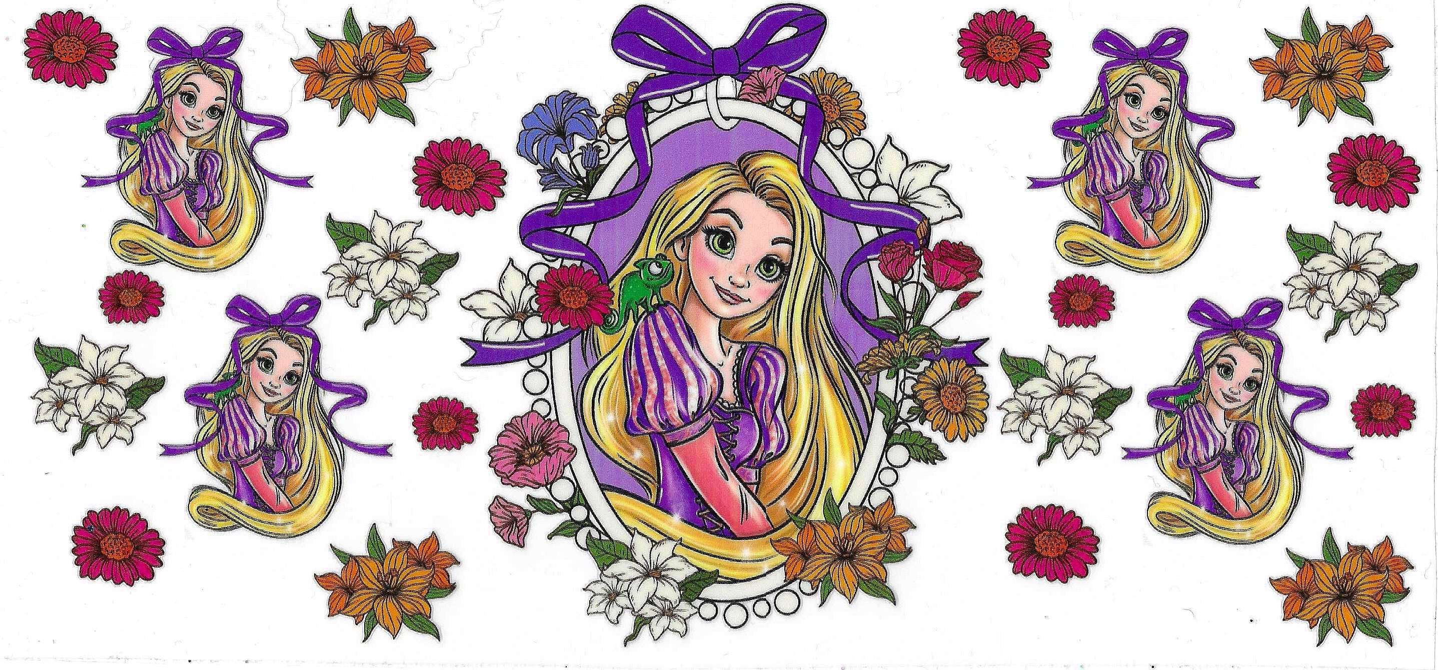 Disney Princess Wraps